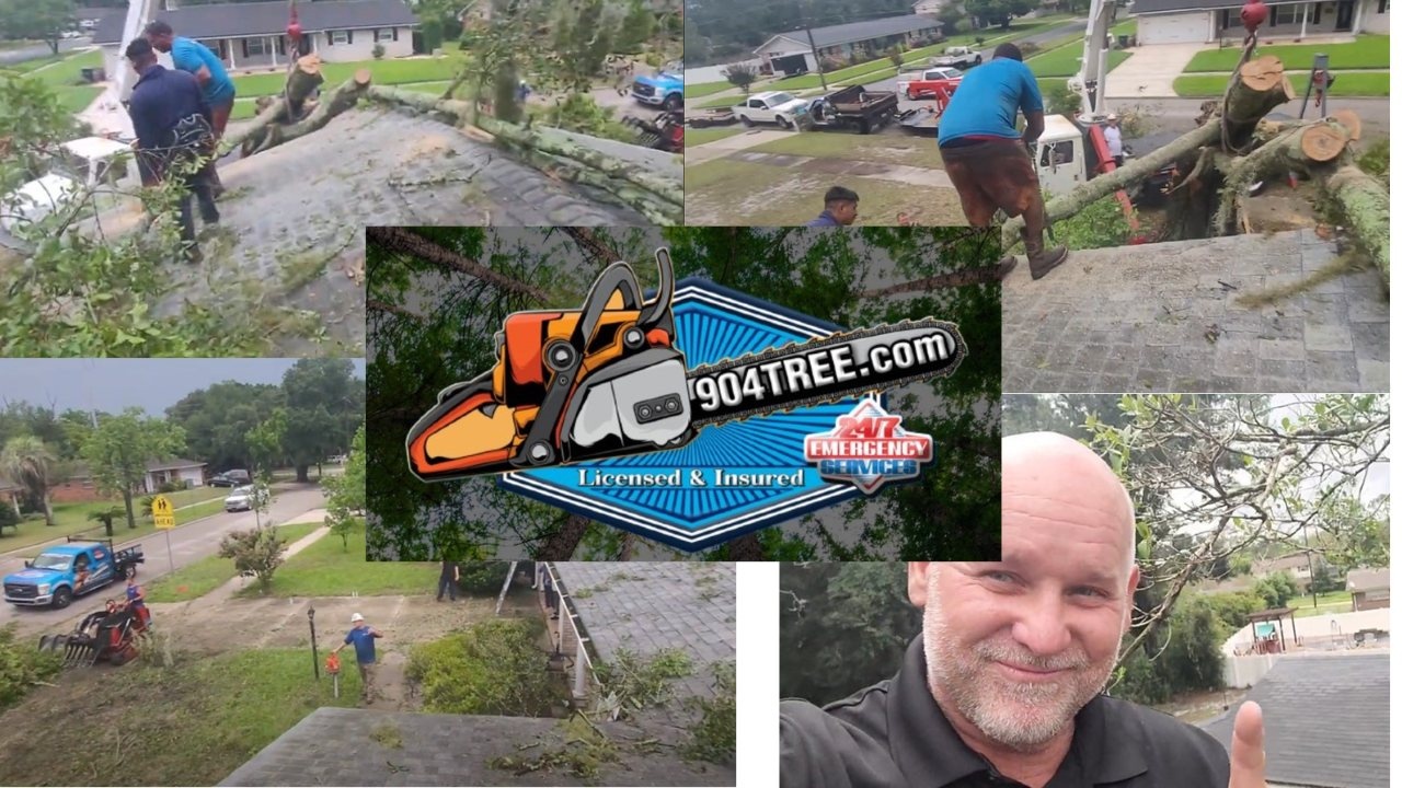 Affordable tree service across Duval and St. Johns County, Florida by 904Tree