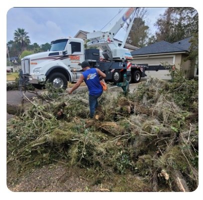 904Tree.com crane truck removing a large storm-damaged tree in Jacksonville, FL