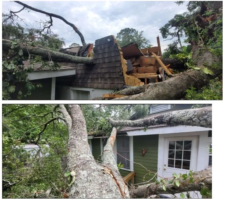 Hazardous Tree Removal in Duval County, FL by 904Tree.com™